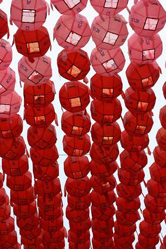 lantern red paper lantern lot during daytime seoul